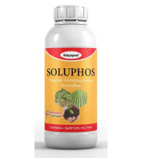 Katyayani Phosphate Solubilizing Bacteria (1 Litre x 1 Bottle)